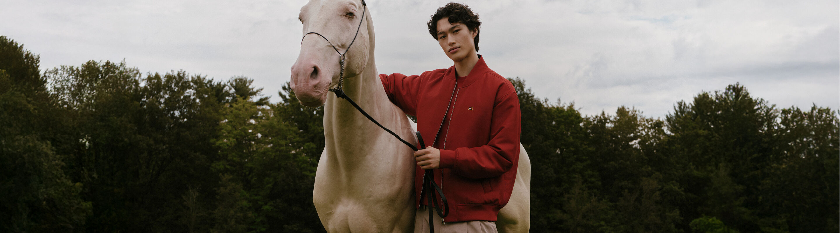 沒有名稱的圖像