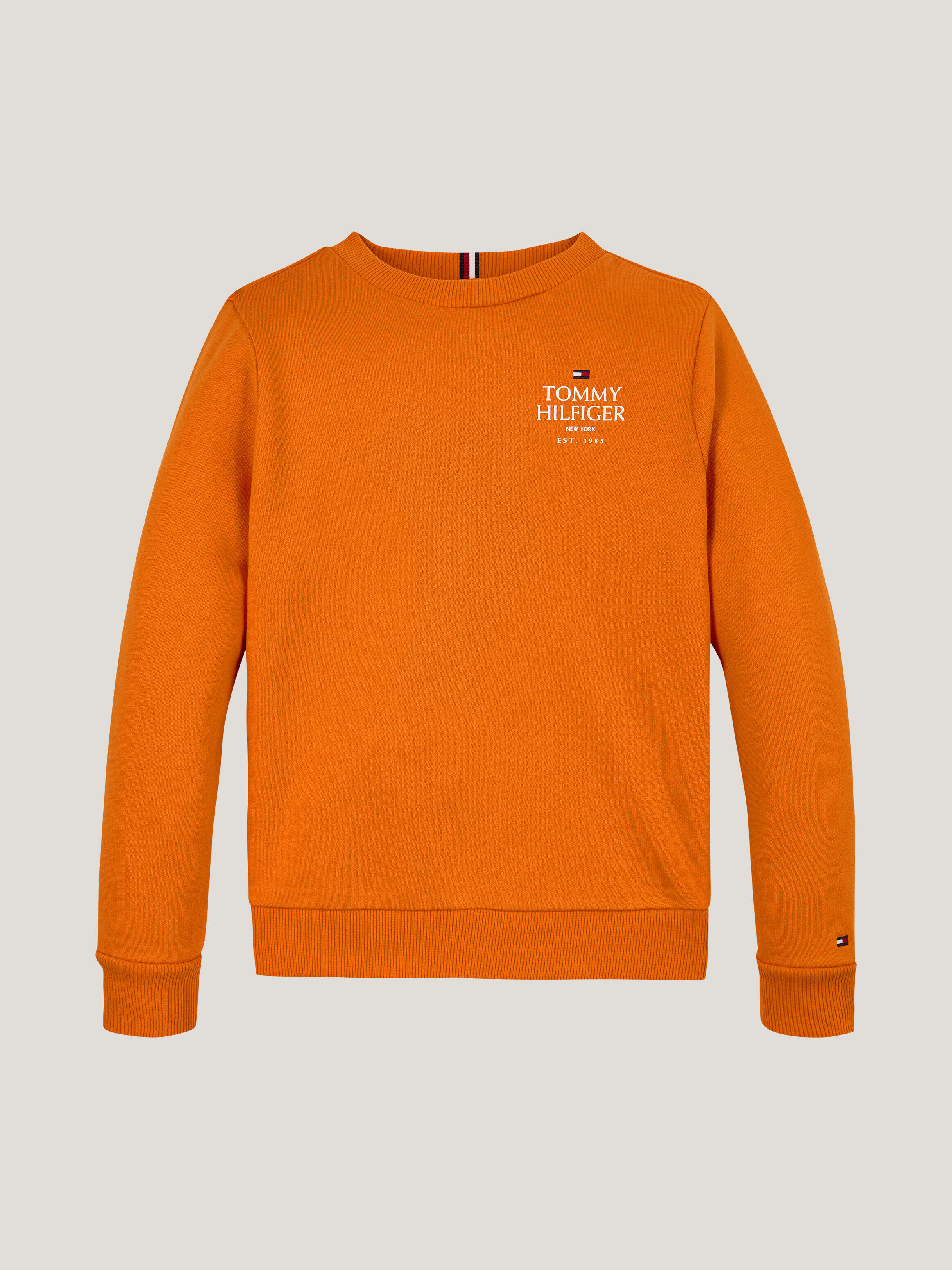 Sweatshirts Hoodies Tommy Hilfiger