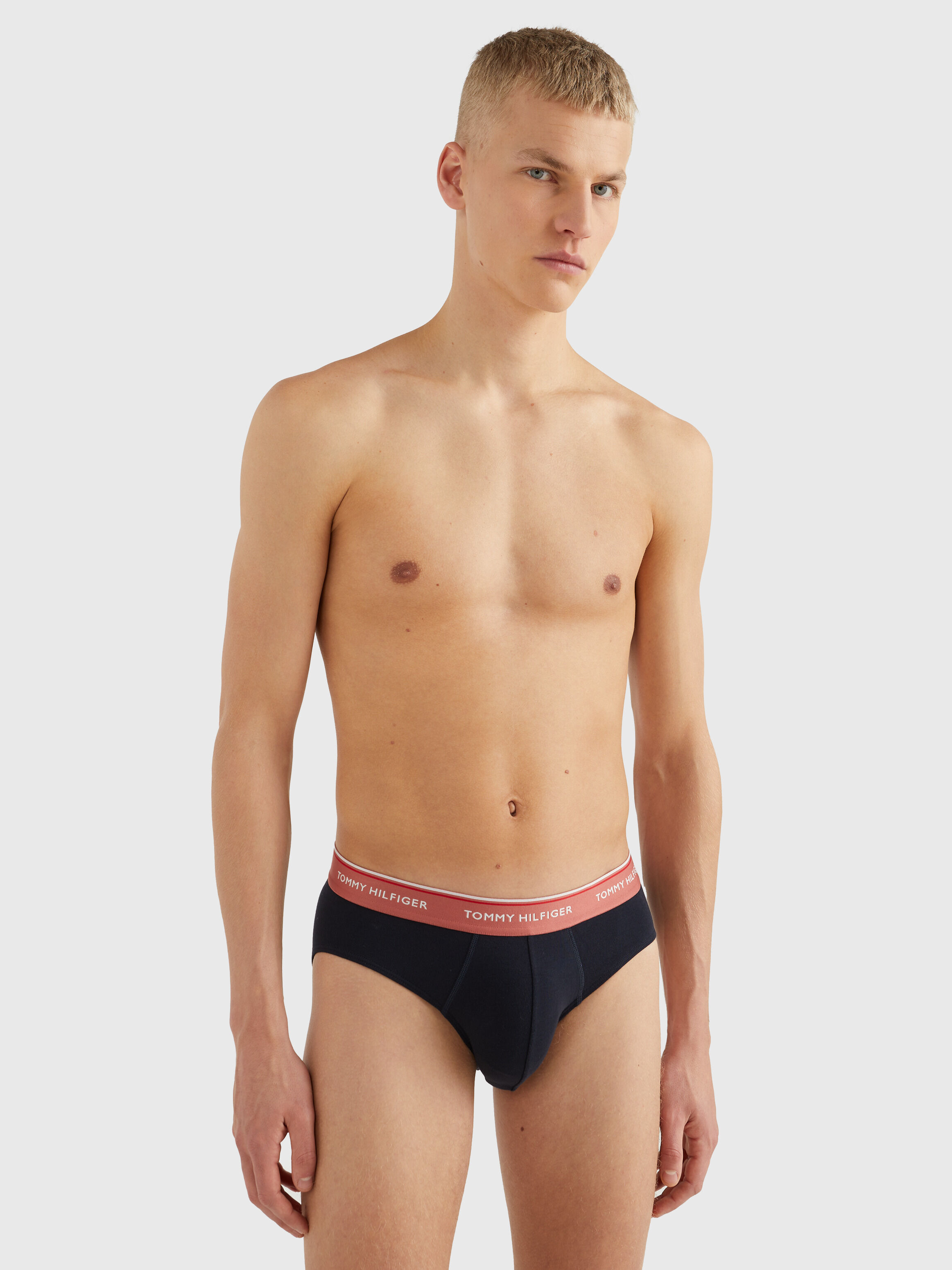 Tommy hilfiger briefs mens on sale
