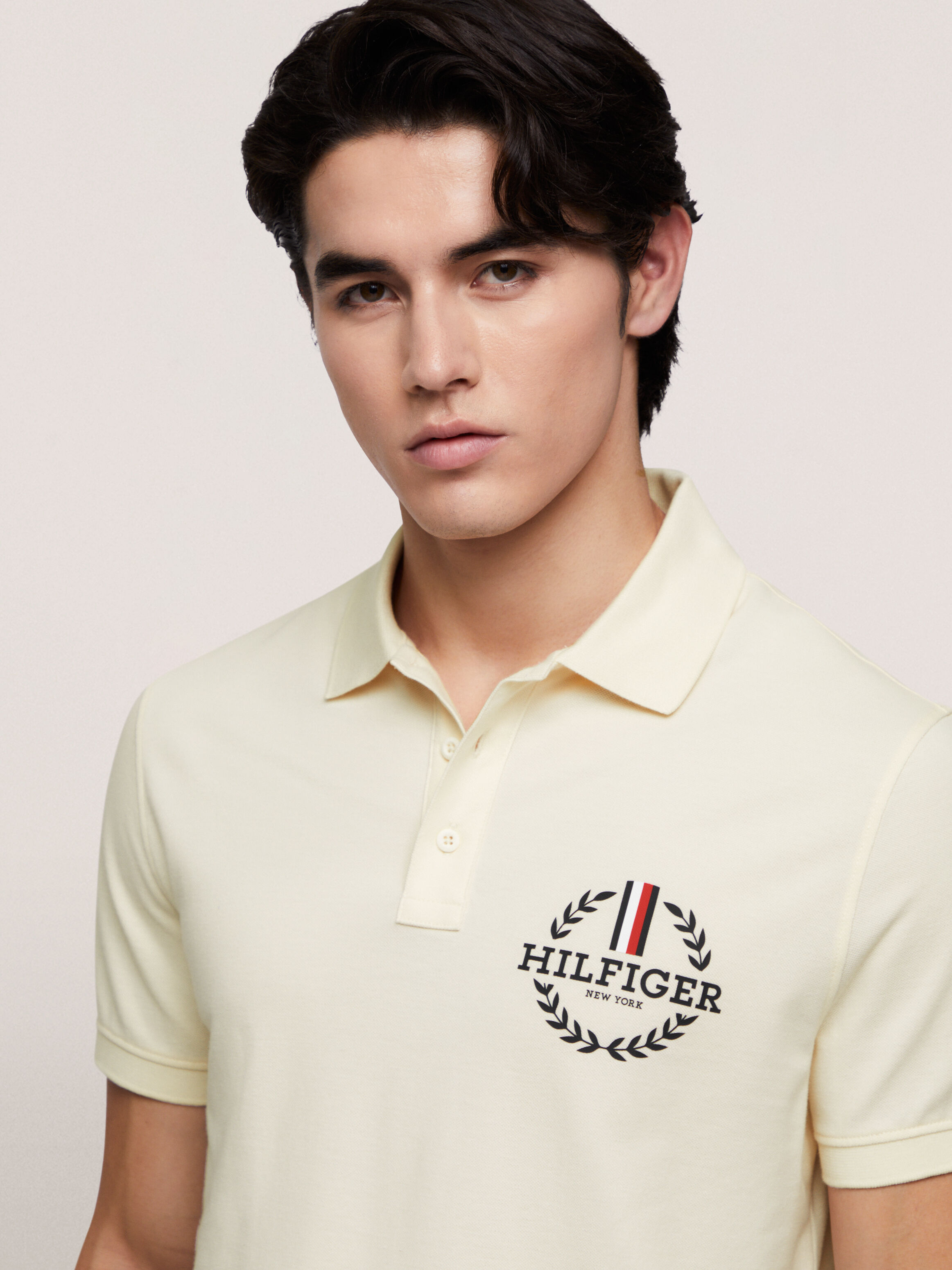 Tommy hilfiger crest polo hotsell