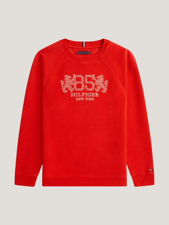 Boys Crest Embroidery Sweatshirt