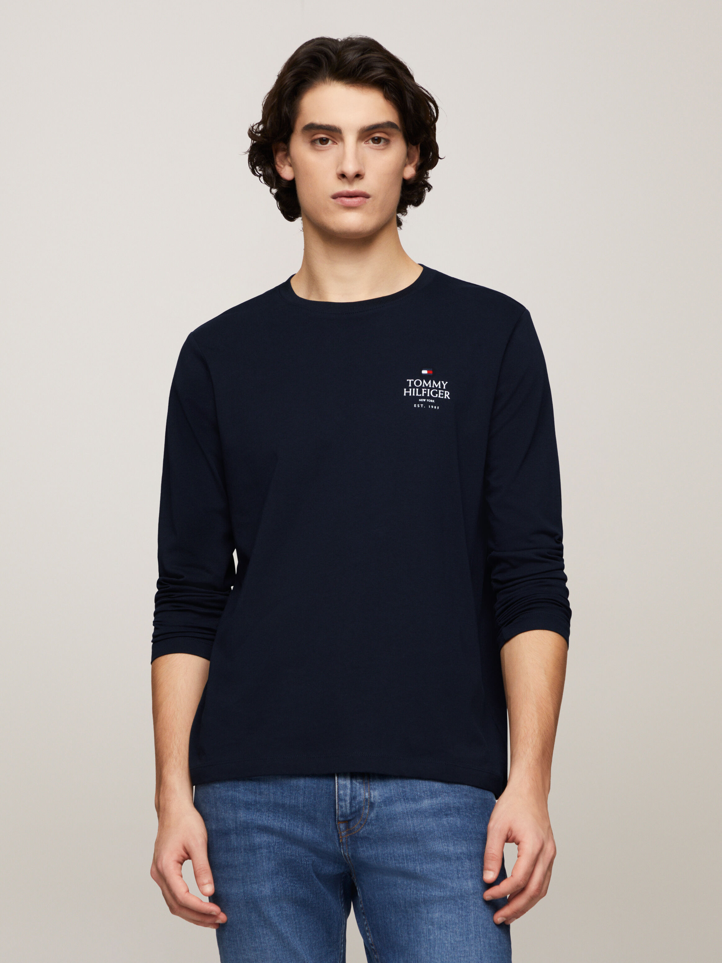 Tommy hilfiger full sleeve t shirt online