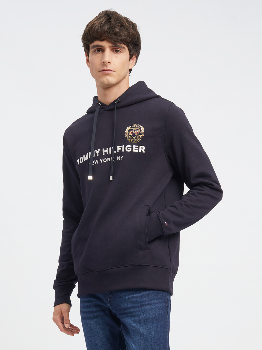 Icon Crest Embroidery Hoodie, Desert Sky, hi-res