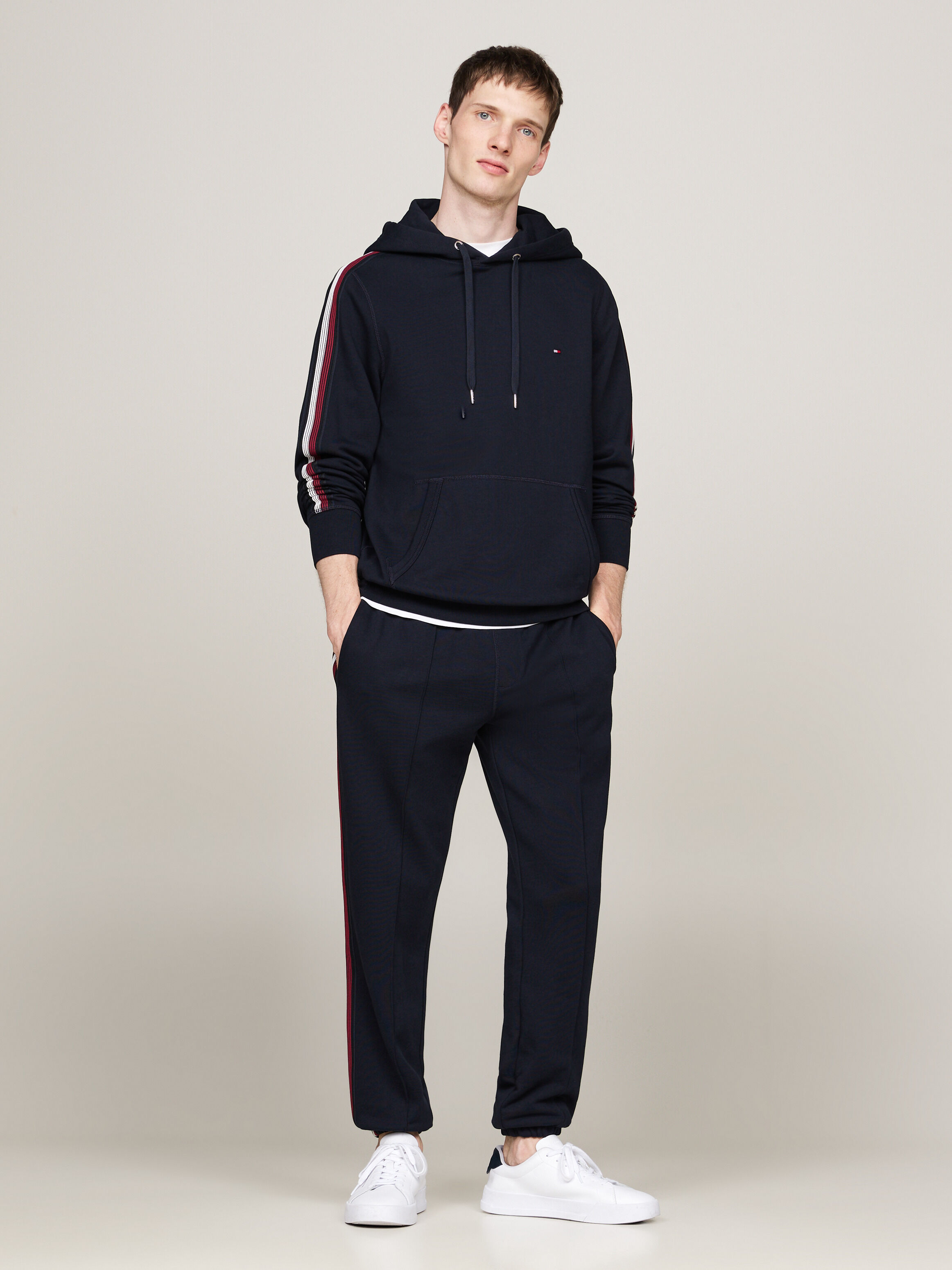 Global Stripe Sleeve Hoody