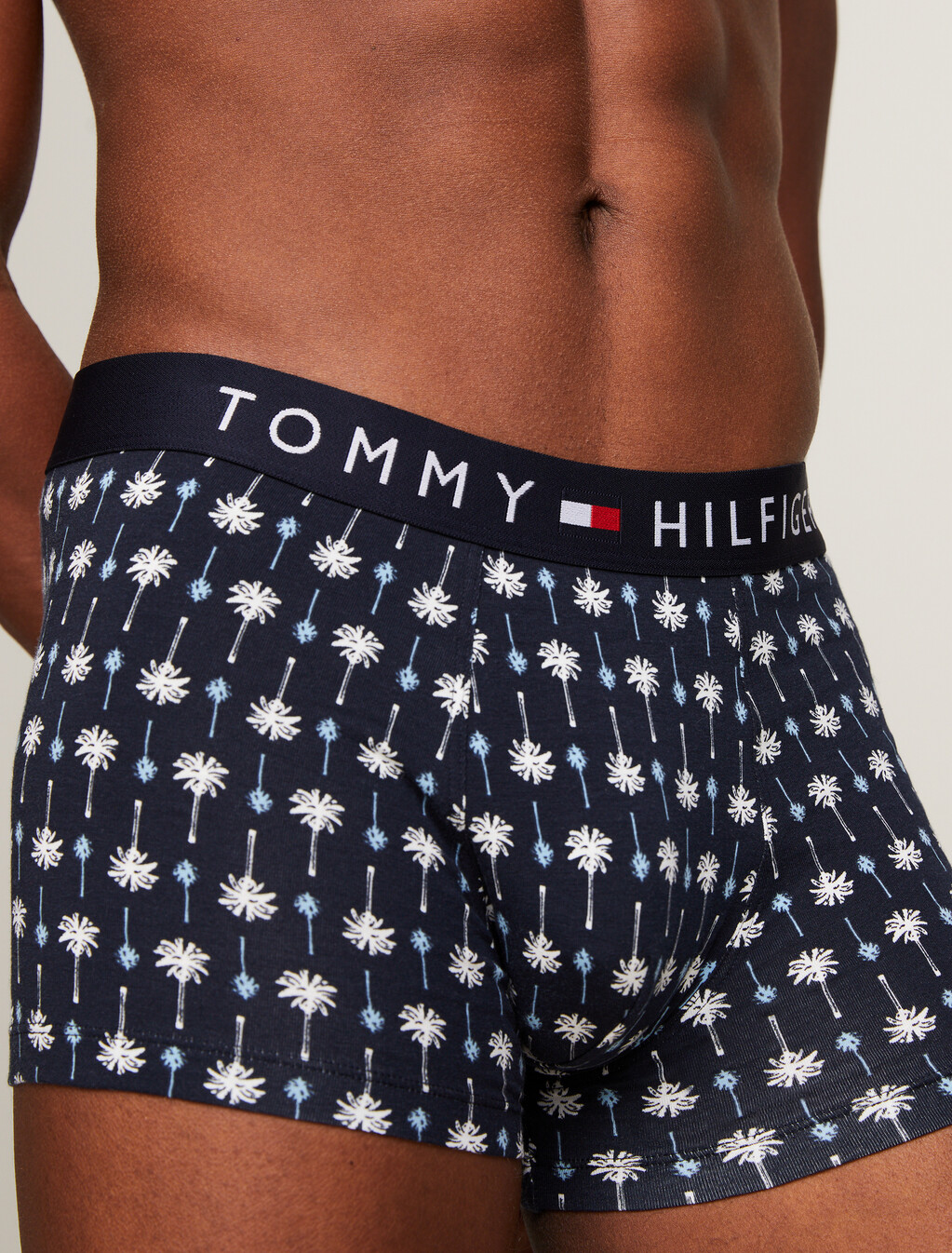 Print Trunks, Mini Palm Desert Sky, hi-res