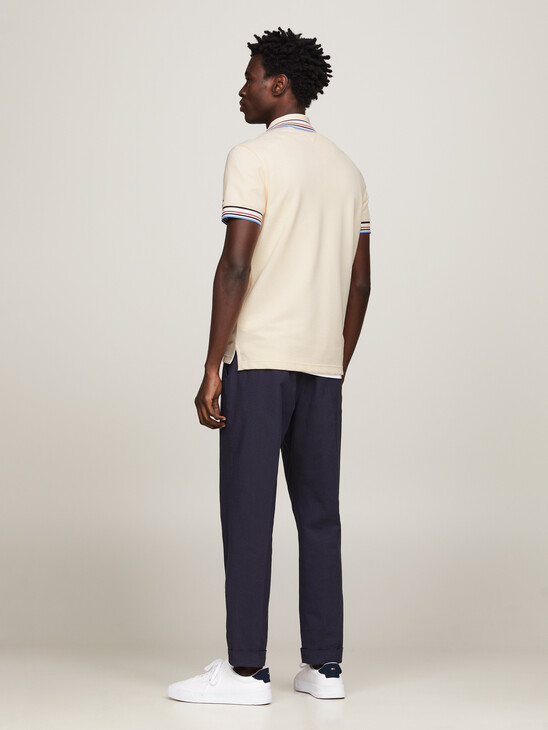 Global Stripe Tipped Regular Fit Polo