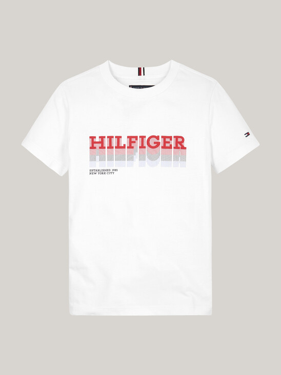 Boys Fade Hilfiger Print T-Shirt