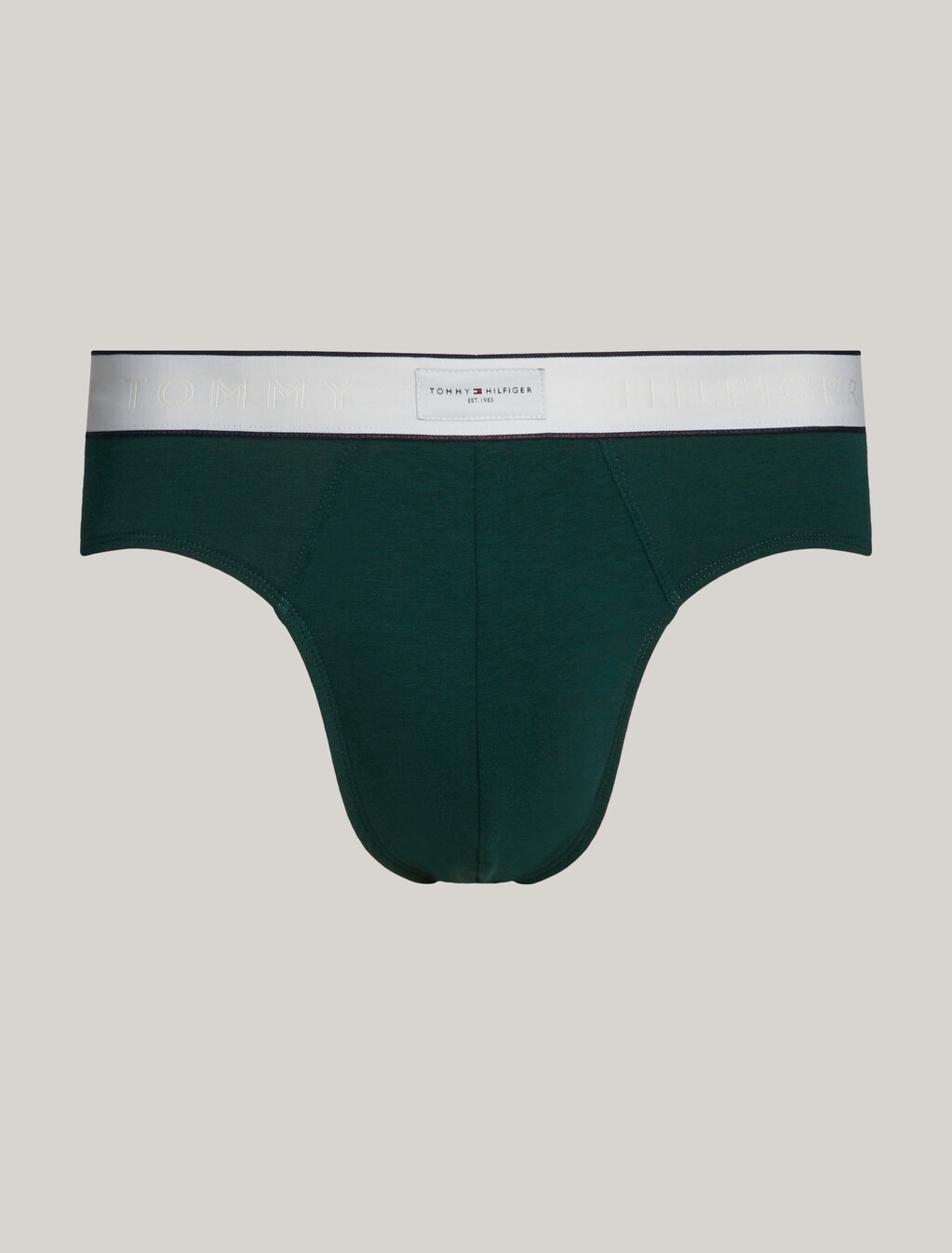 Th Established Waistband Logo Briefs, Hunter, hi-res