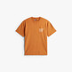 Voyager Orange