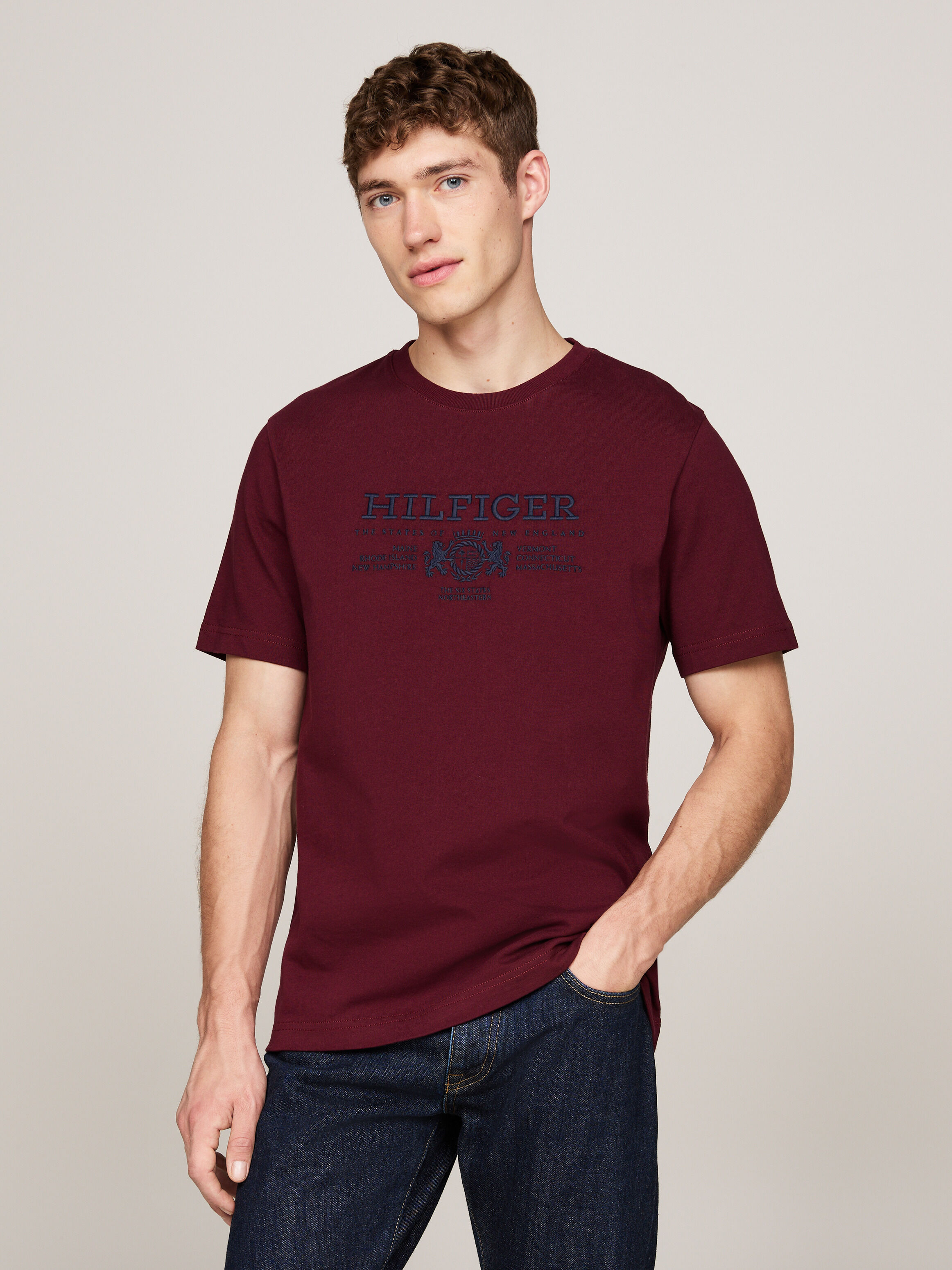 Men s T Shirts Tommy Hilfiger Hong Kong
