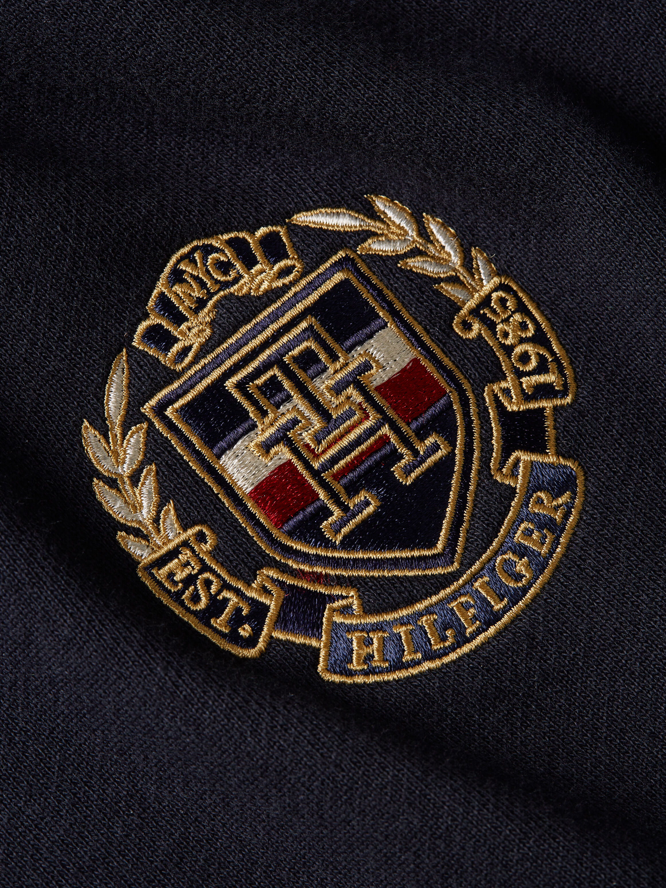 Tommy hilfiger icon embroidered hoodie sale