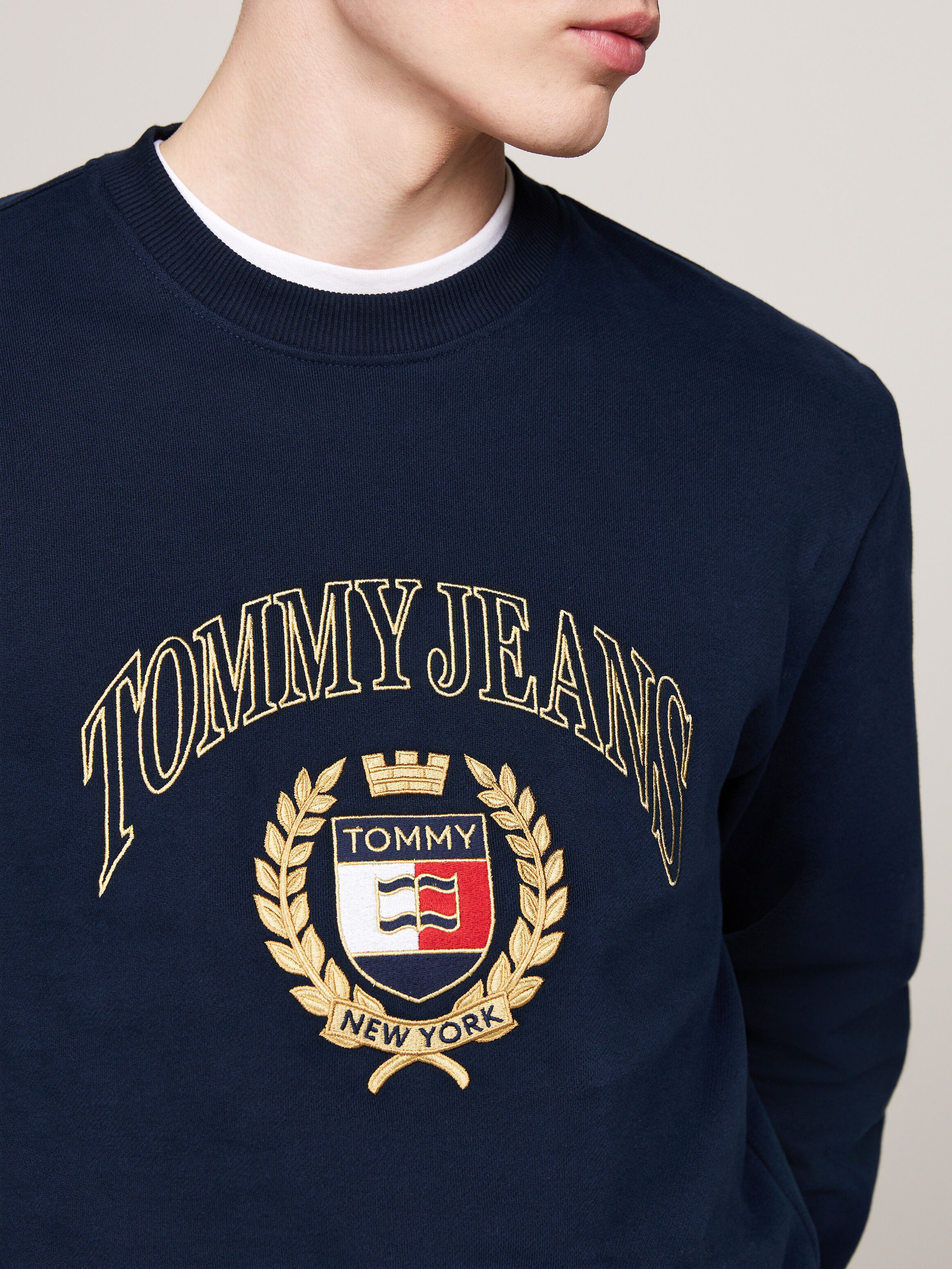 Tommy hilfiger donny crew neck 2025