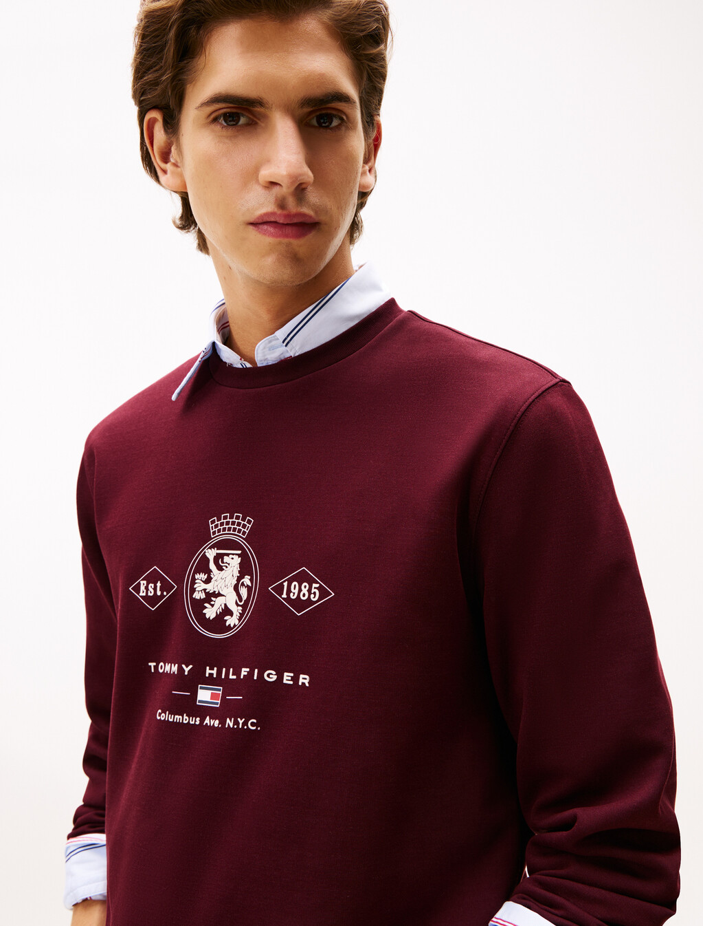 棒球風徽章圖案衛衣, Deep Burgundy, hi-res
