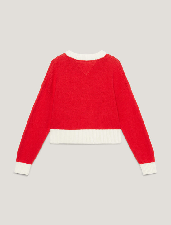 1985 Collection Varsity Cropped Jumper