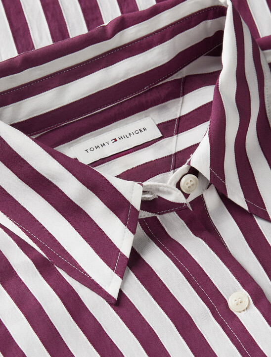 Regular Fit Stripe Shirt
