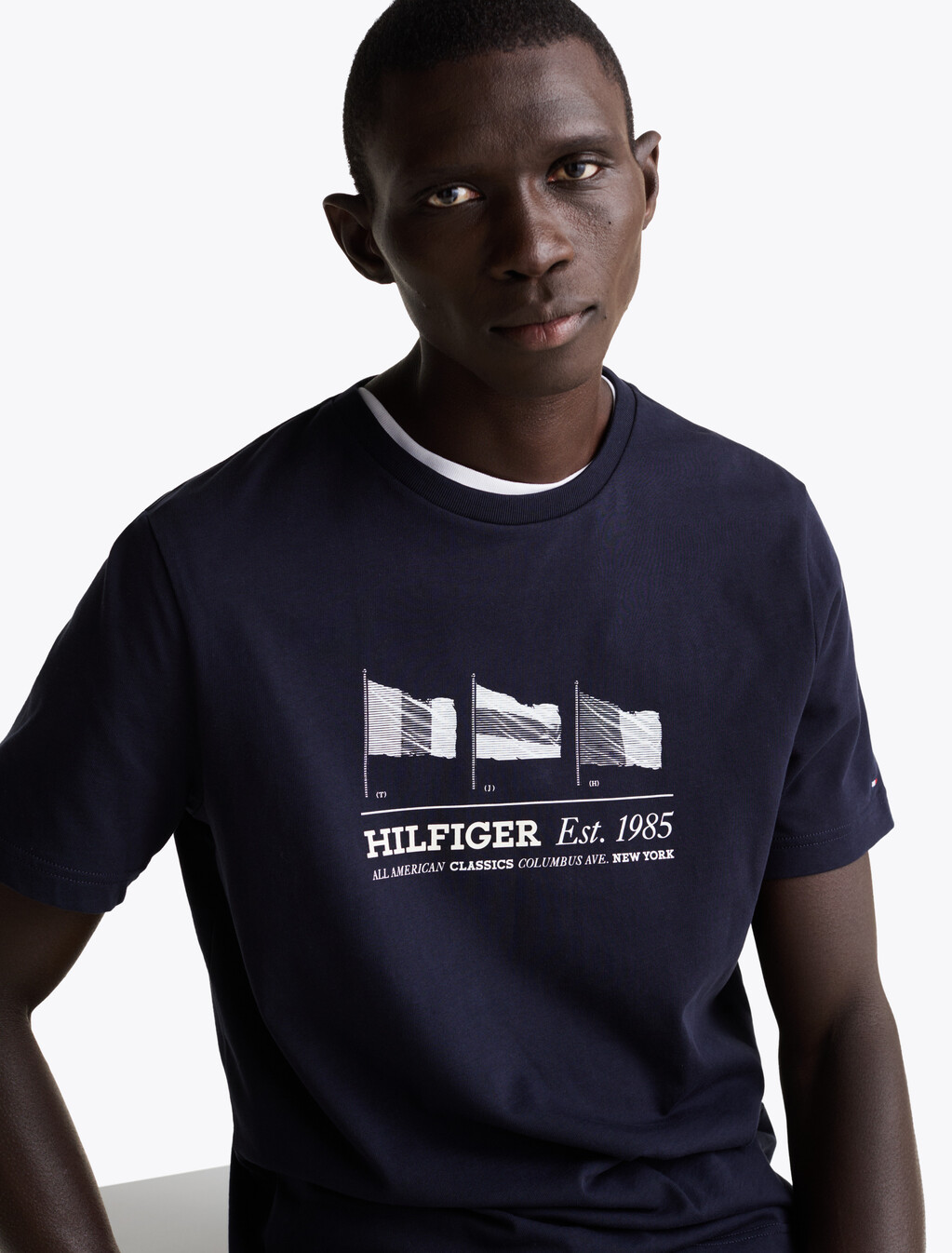 Hilfiger Flags T-Shirt, Desert Sky, hi-res