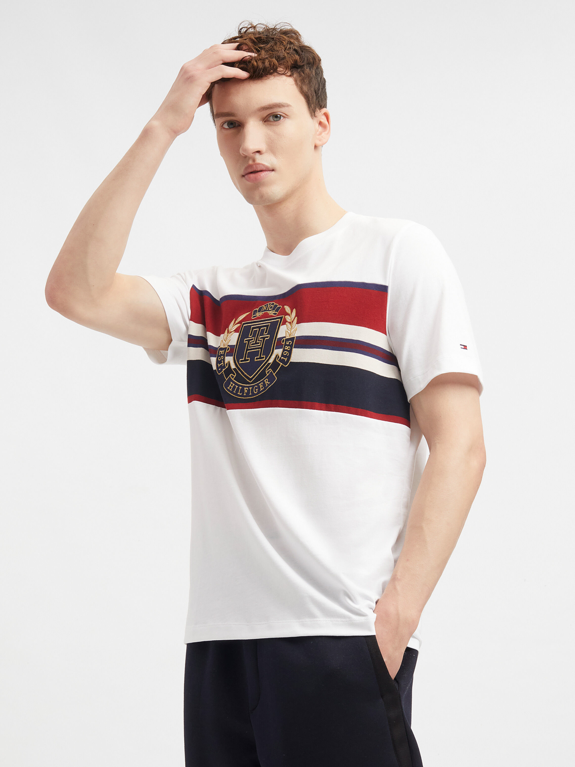 Tommy jeans 6.0 hotsell crest flag tee m13