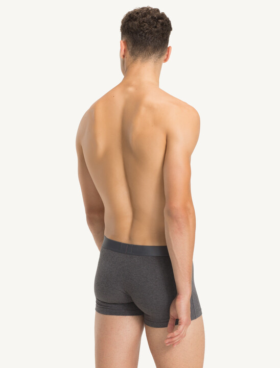 Logo Trunks