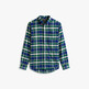 Ornamental Green / Check