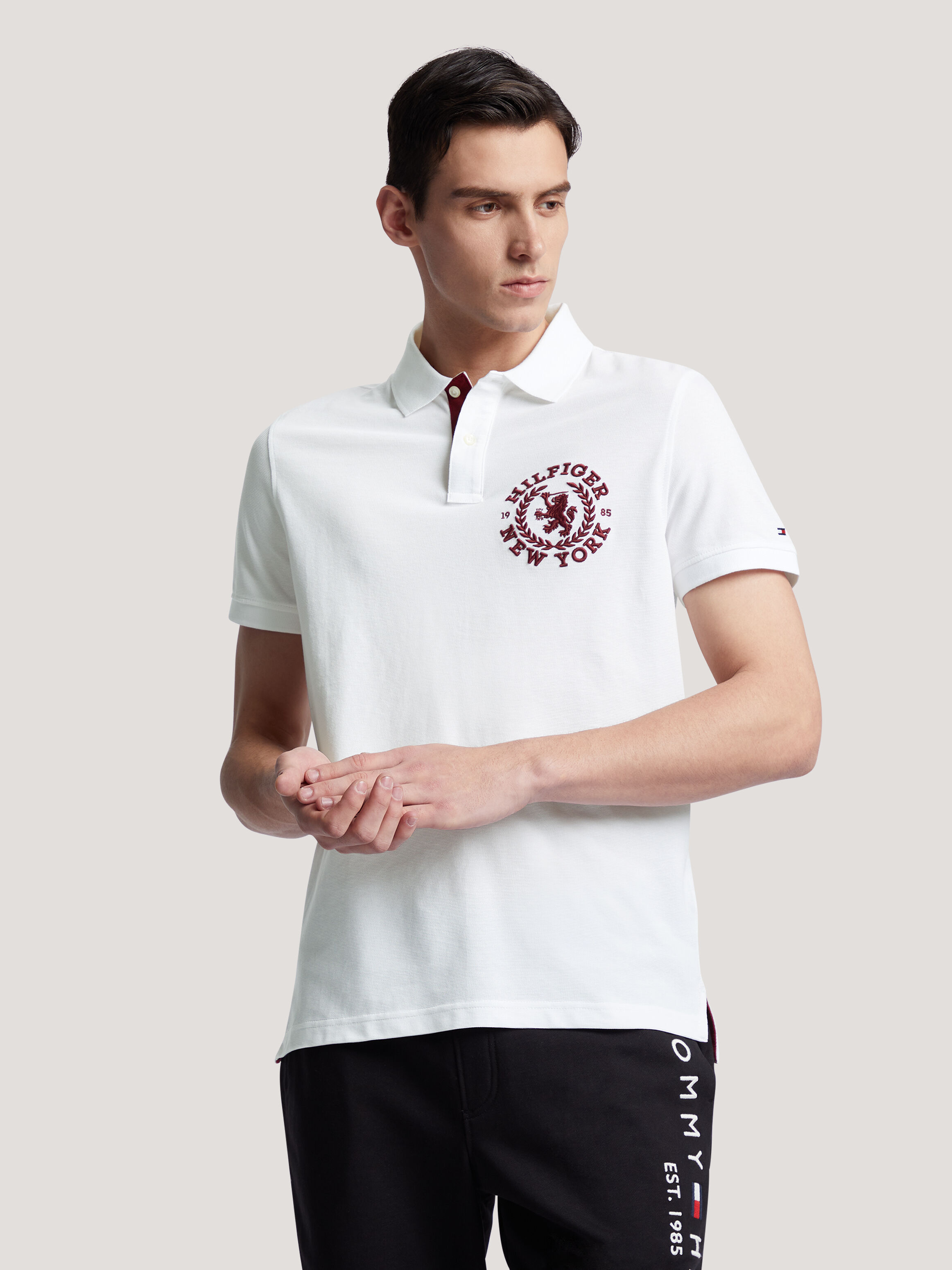 Tommy hilfiger crest hotsell polo