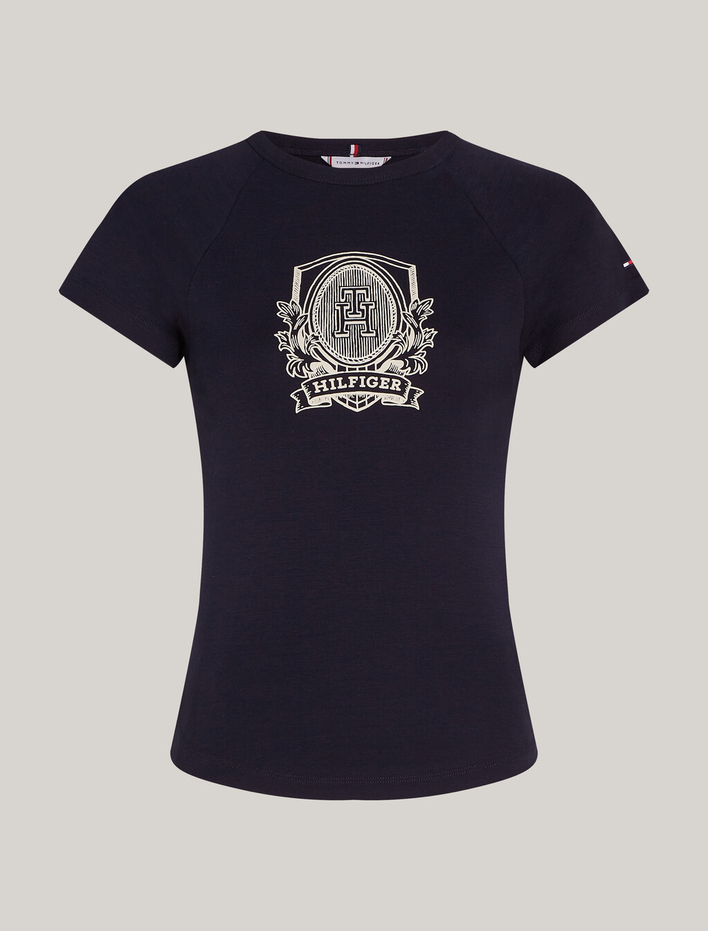 Raglan Sleeve Slim Fit T-Shirt, Desert Sky, hi-res