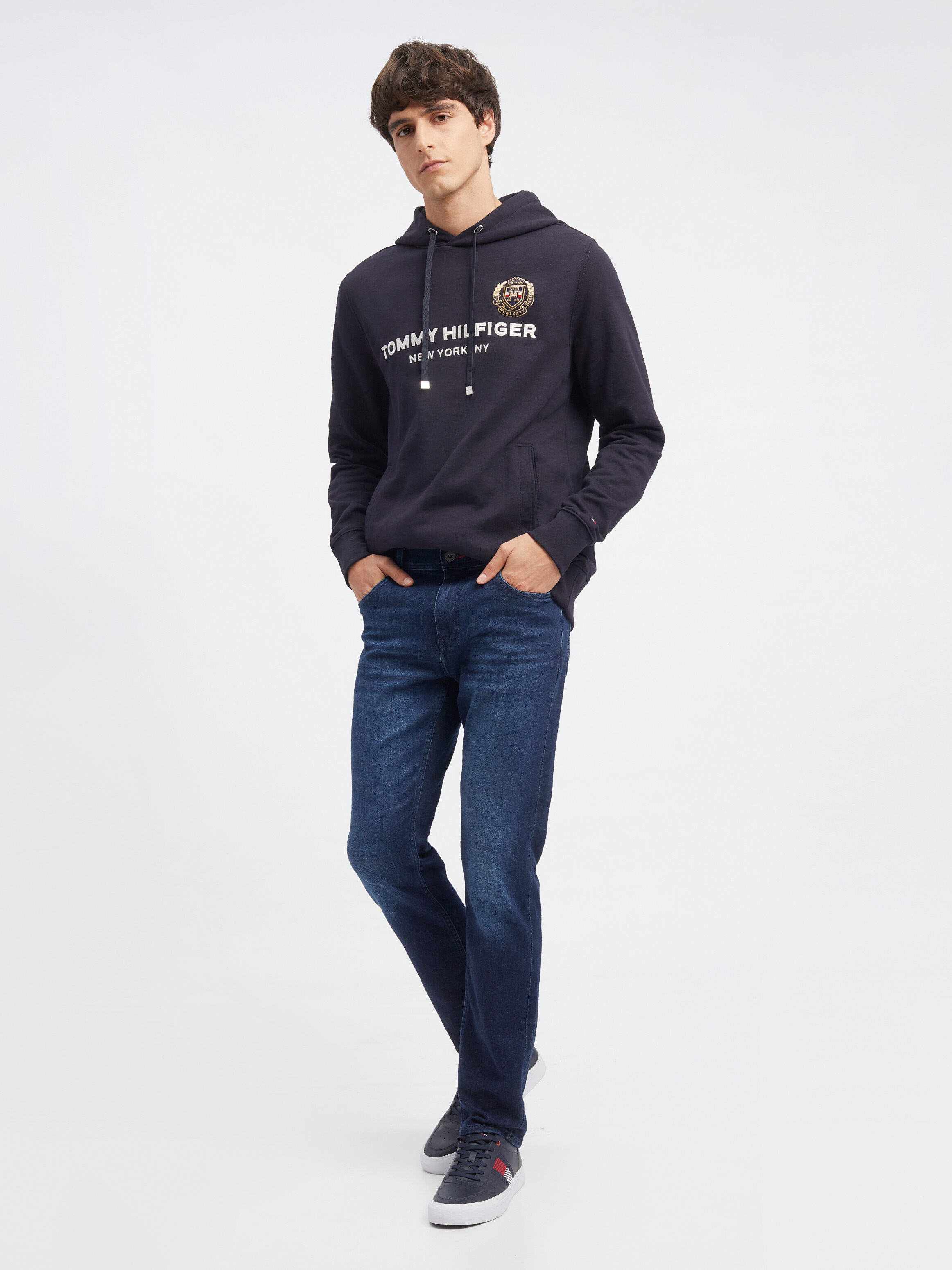 Tommy hilfiger icon embroidered hoodie store
