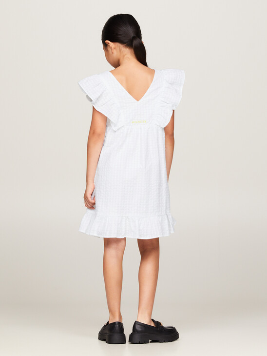 Seersucker Frill Fit and Flare Dress