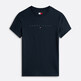 Dark Night Navy