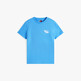 Copenhagen Blue