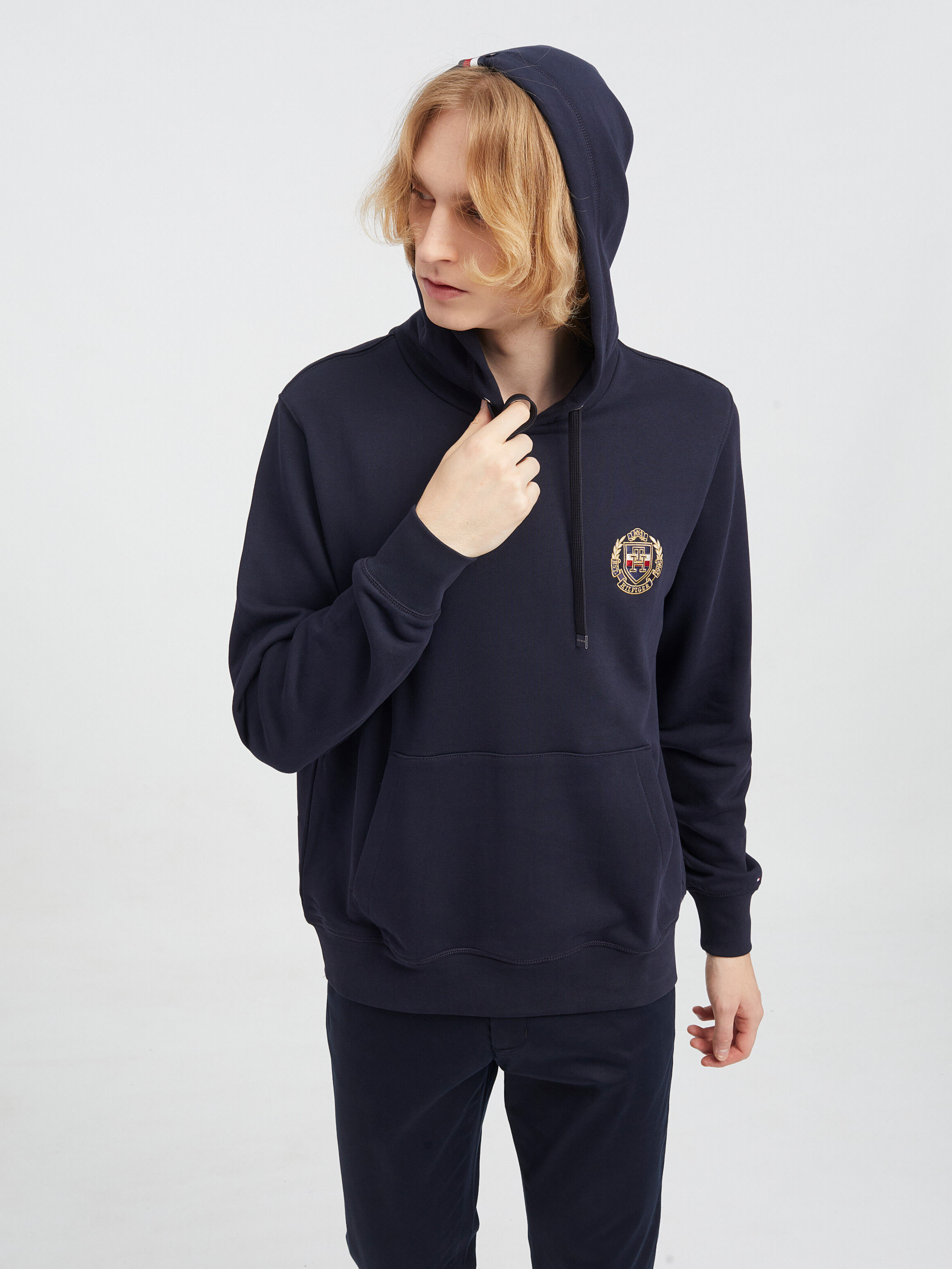 Tommy hilfiger cheap patch hoodie