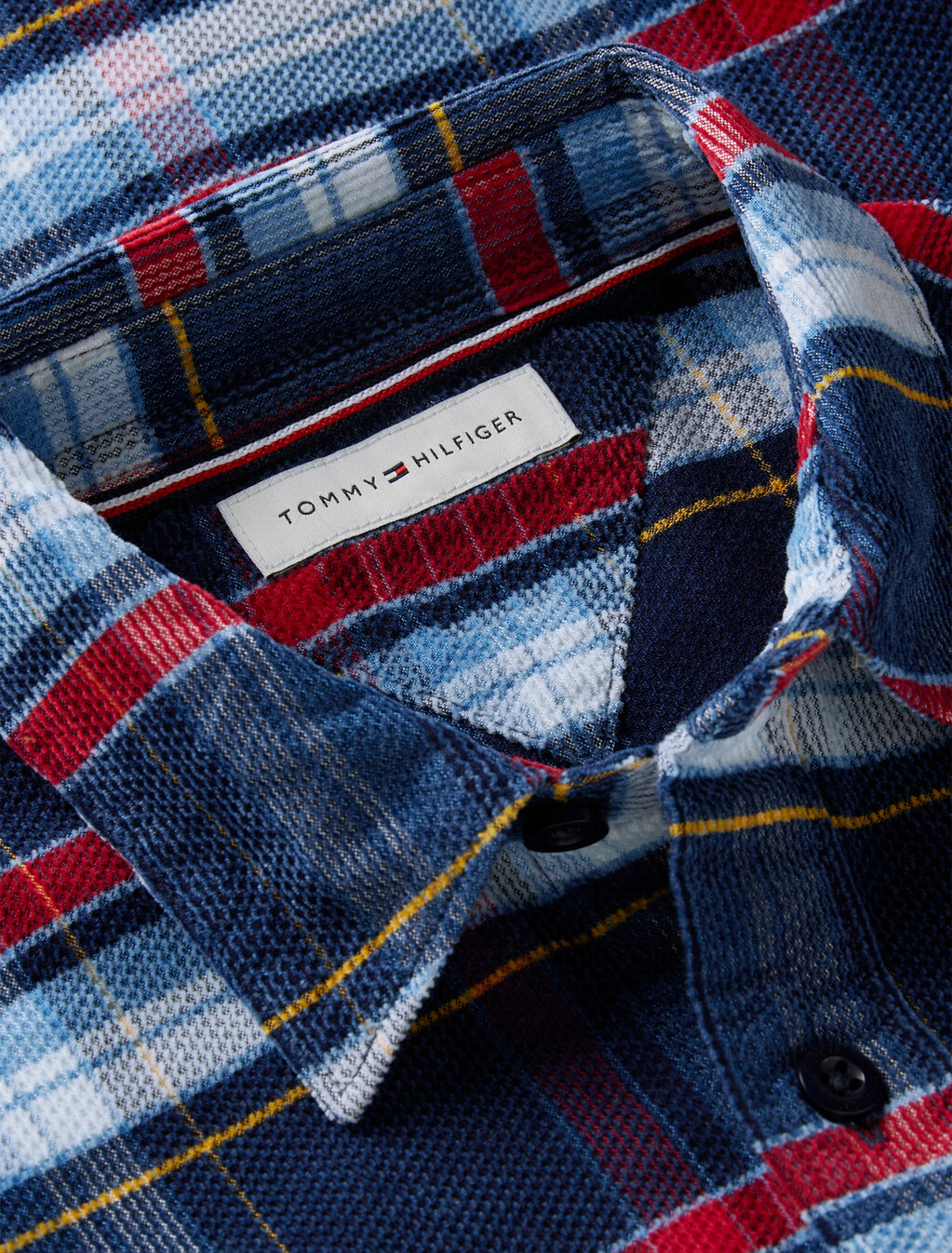 Regular Fit Back Graphic Check Corduroy Shirt, Blue Check 03, hi-res
