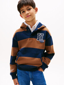 Varsity Stripe Concealed Placket Hoody, Pecan Nut Stripe, hi-res