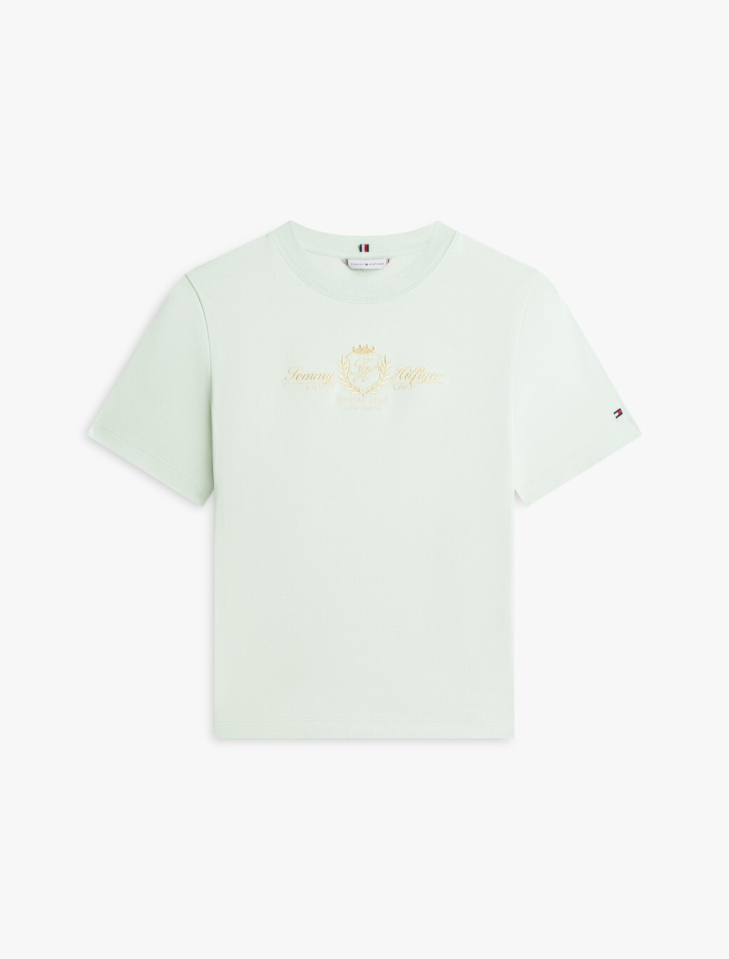 Lurex Varsity Regular Short Sleeve T-Shirt, Gentle Jade, hi-res