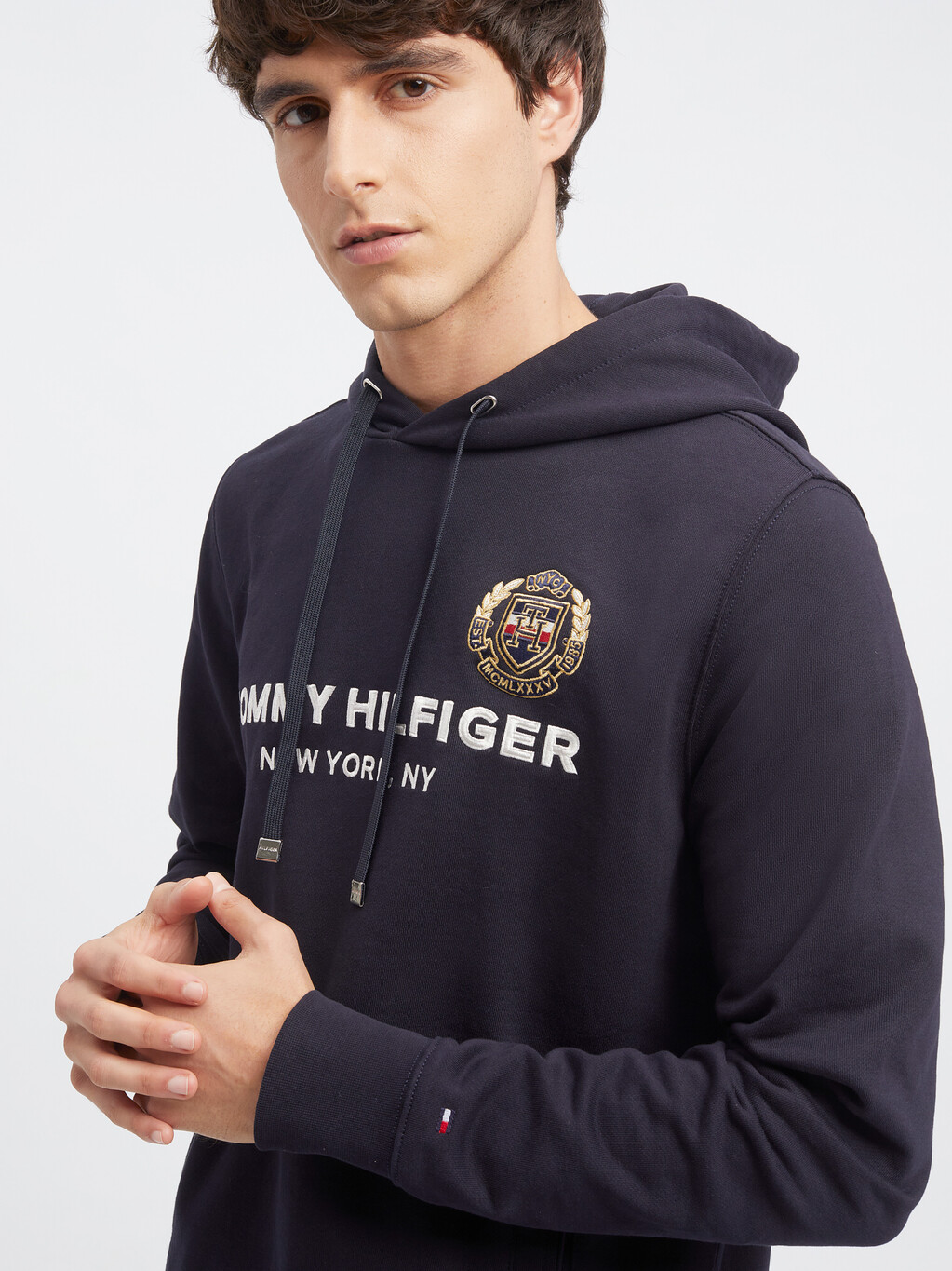 Icon Crest Embroidery Hoodie, Desert Sky, hi-res
