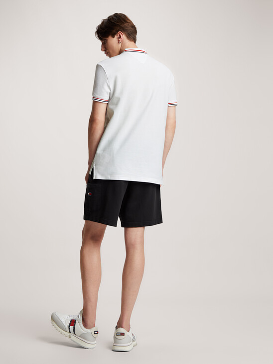 Classic Graphic Tipped Polo