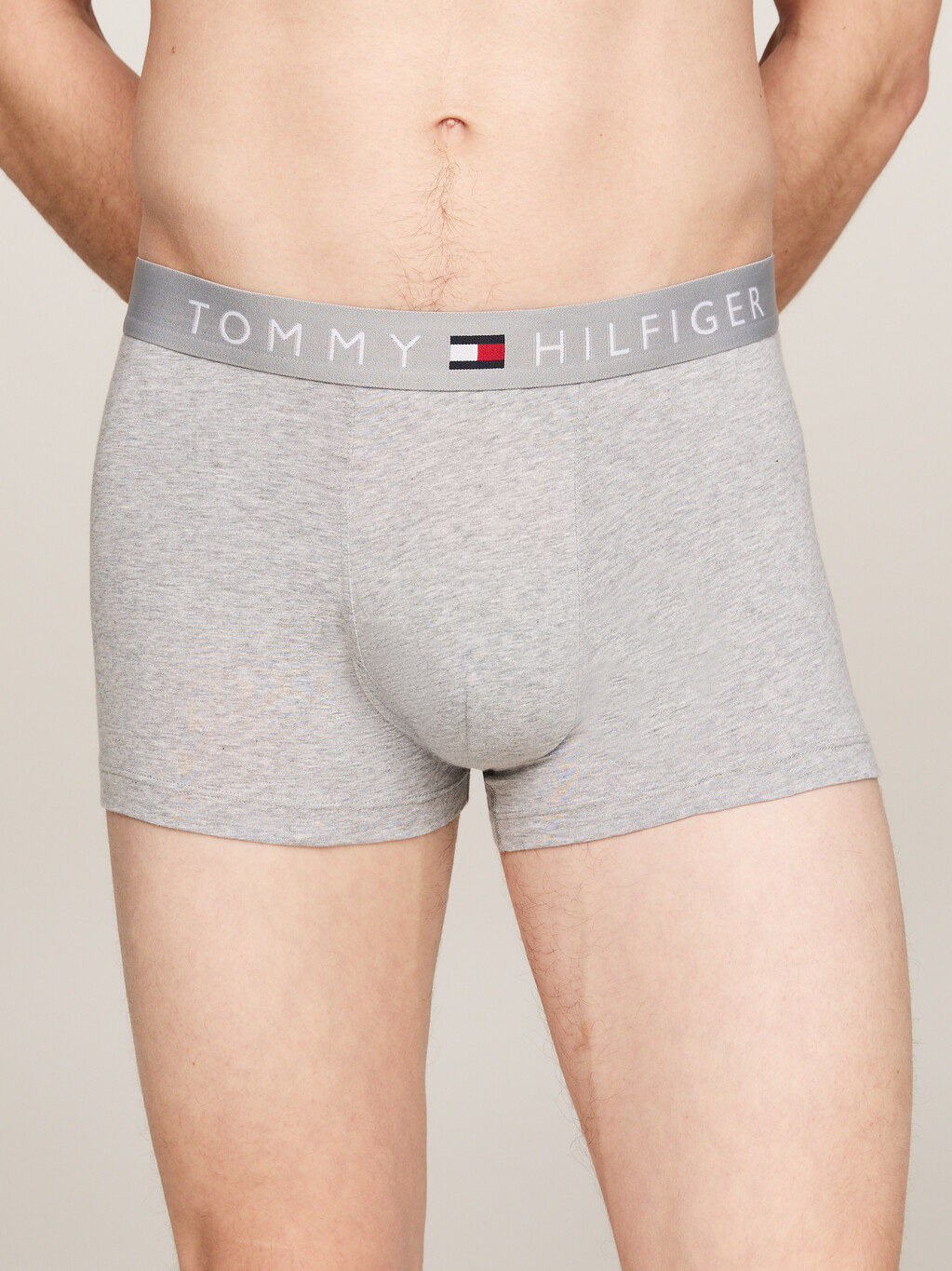 3-Pack TH Original Logo Trunks, Des Sky/Grey Htr/Des Sky, hi-res