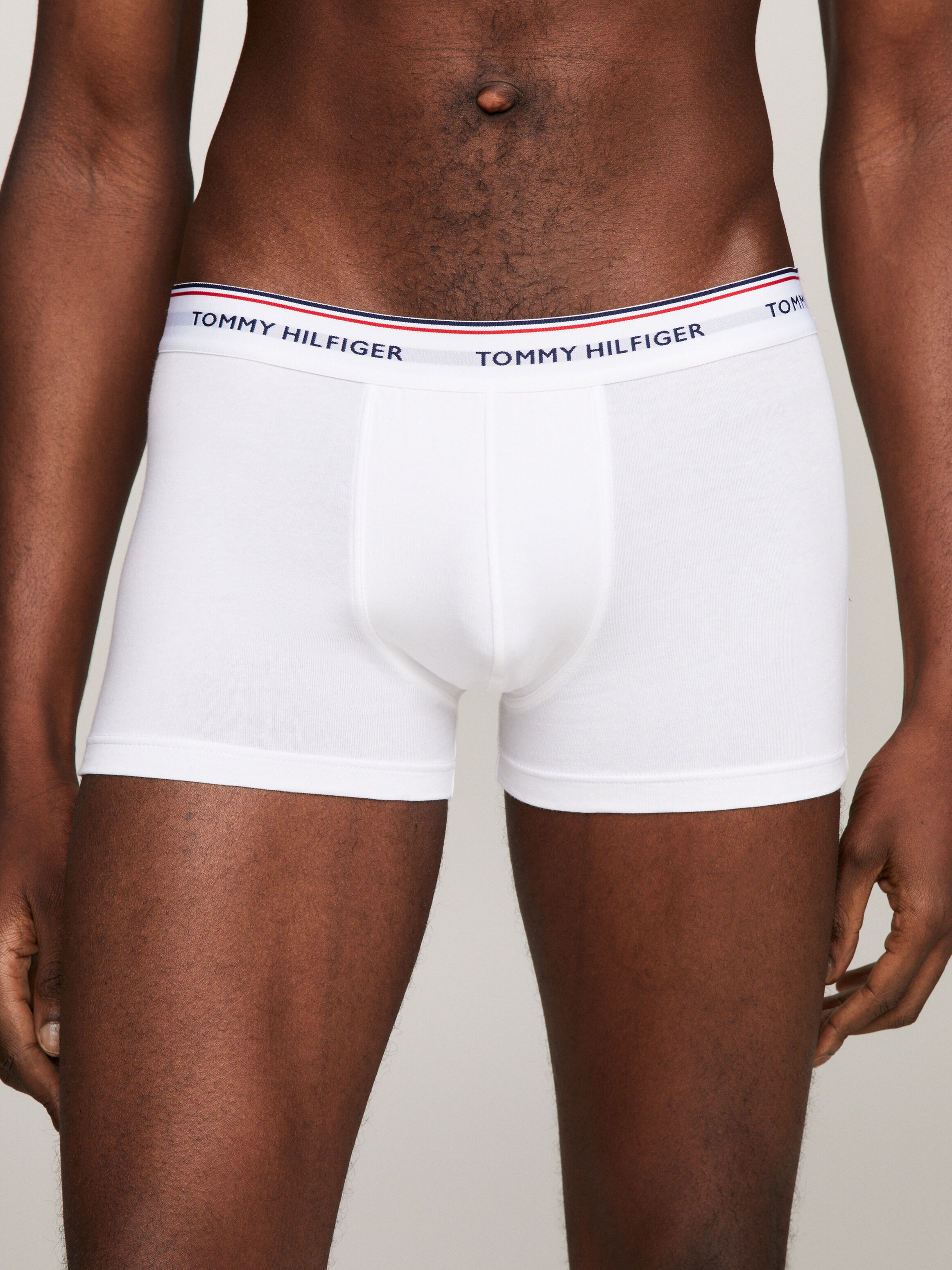 Tommy trunk on sale