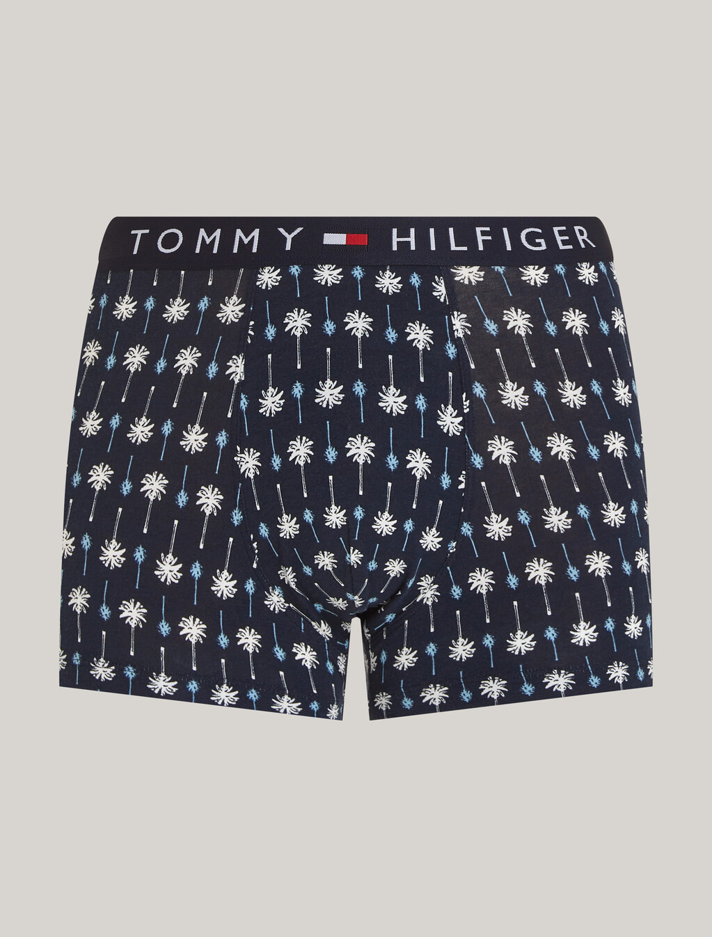 Print Trunks, Mini Palm Desert Sky, hi-res