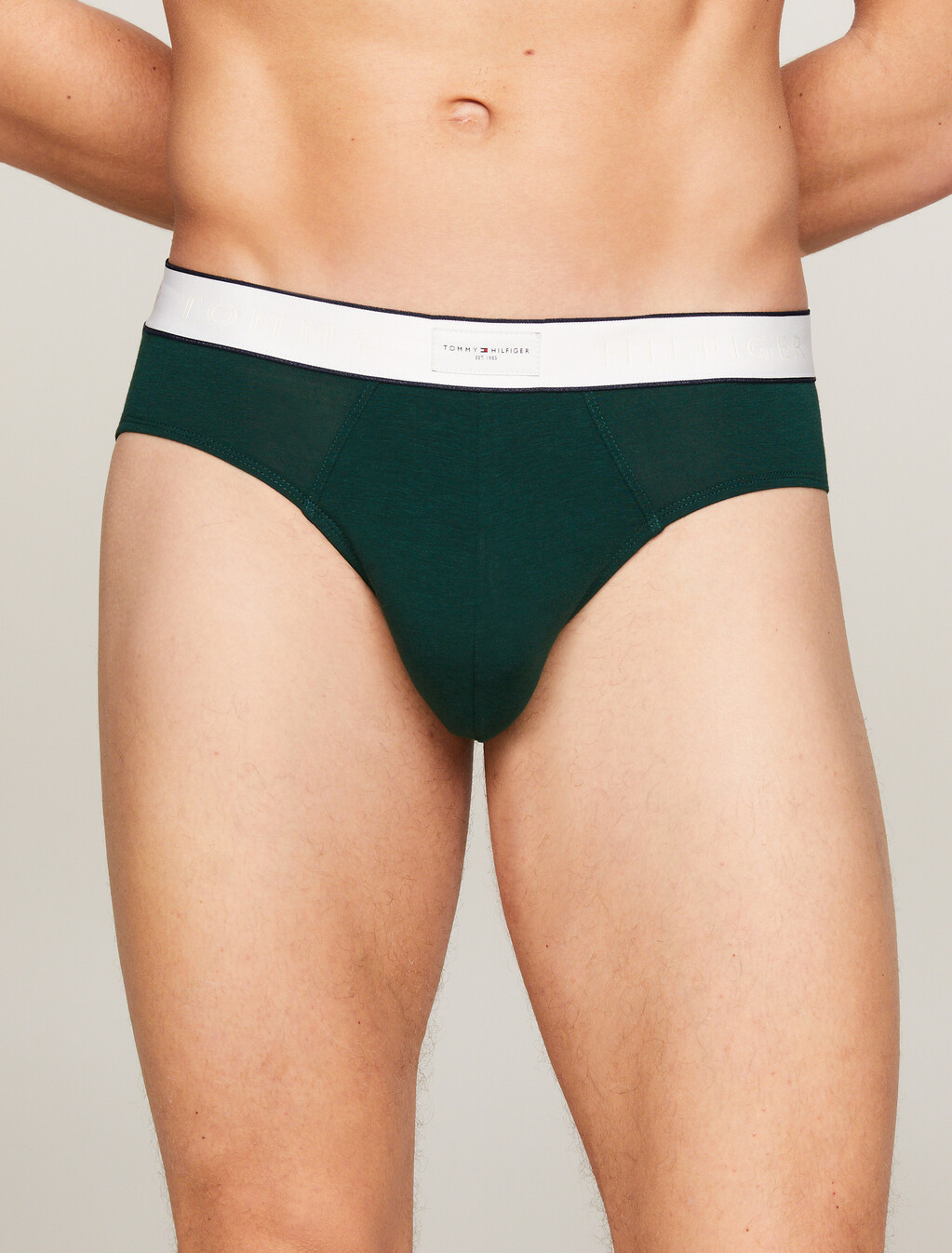 Th Established Waistband Logo Briefs, Hunter, hi-res